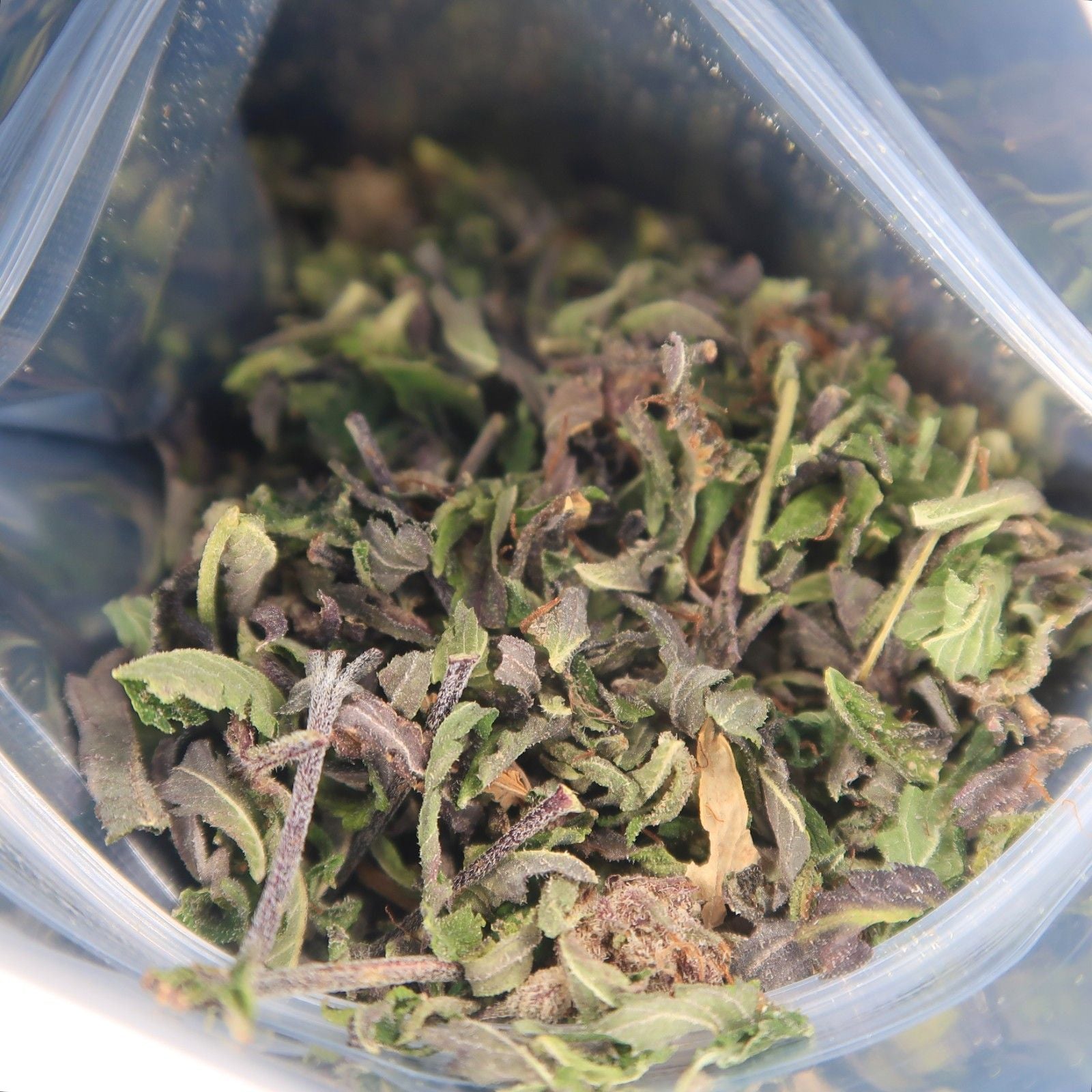 Trim Bubble Gum