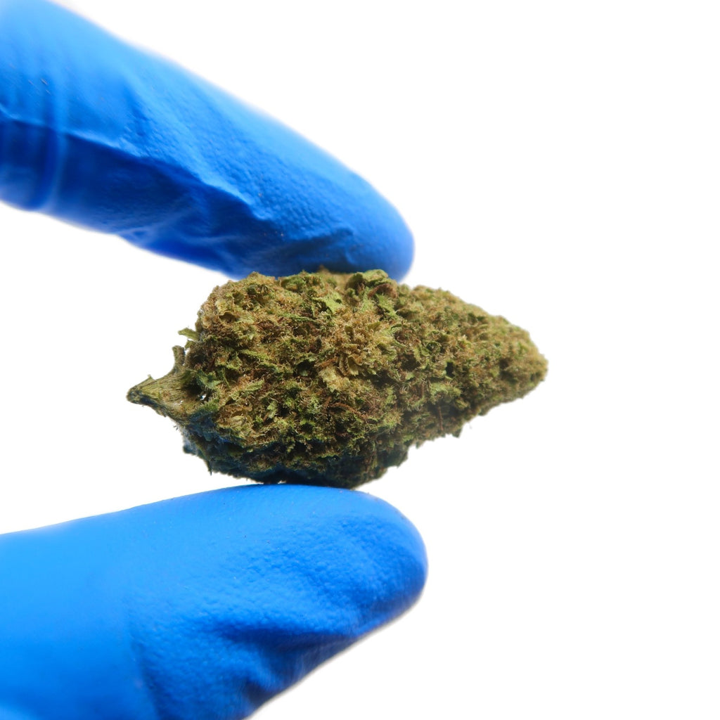 Lifter US Small Bud