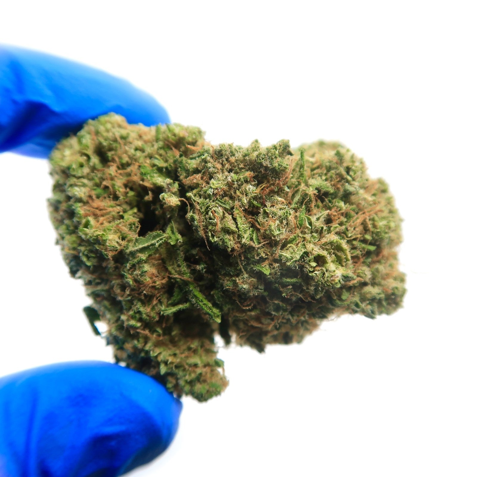 NYC Diesel