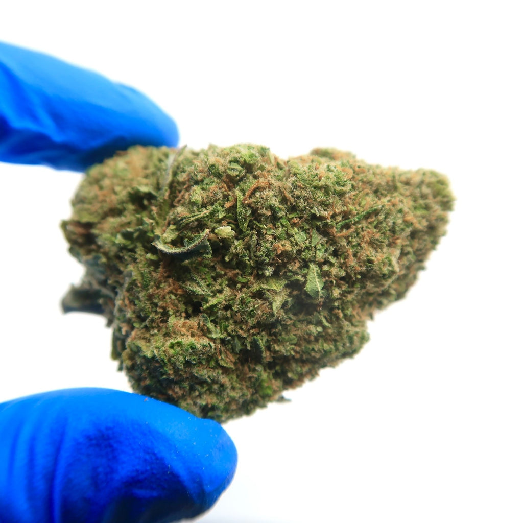 Gelato