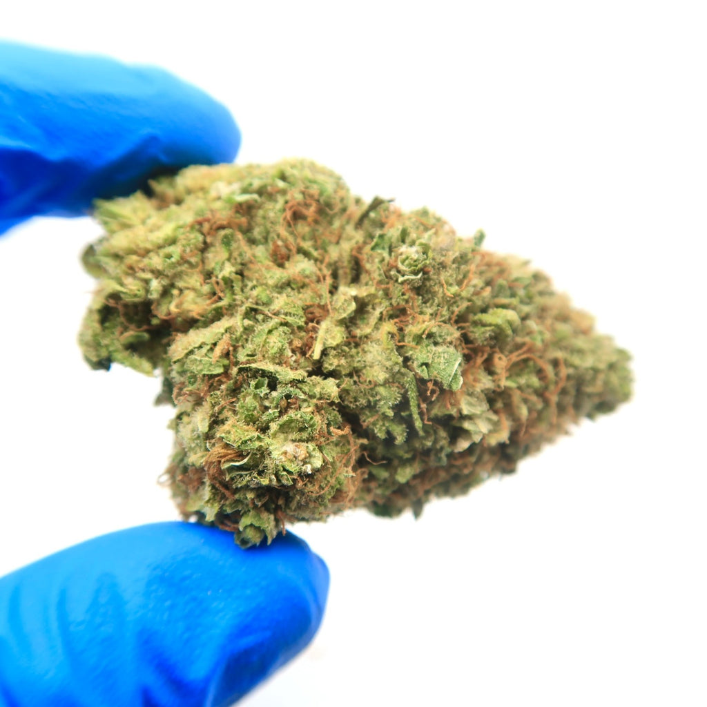 OG Kush