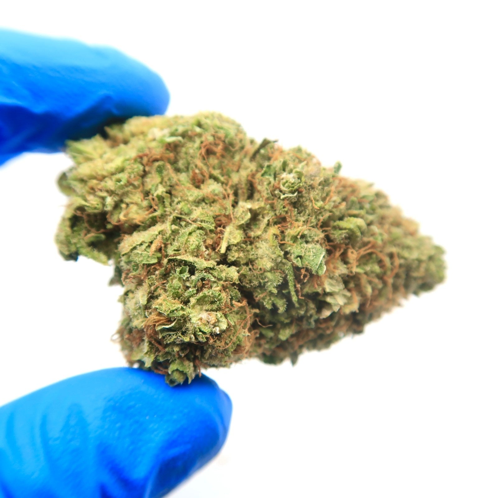 OG Kush