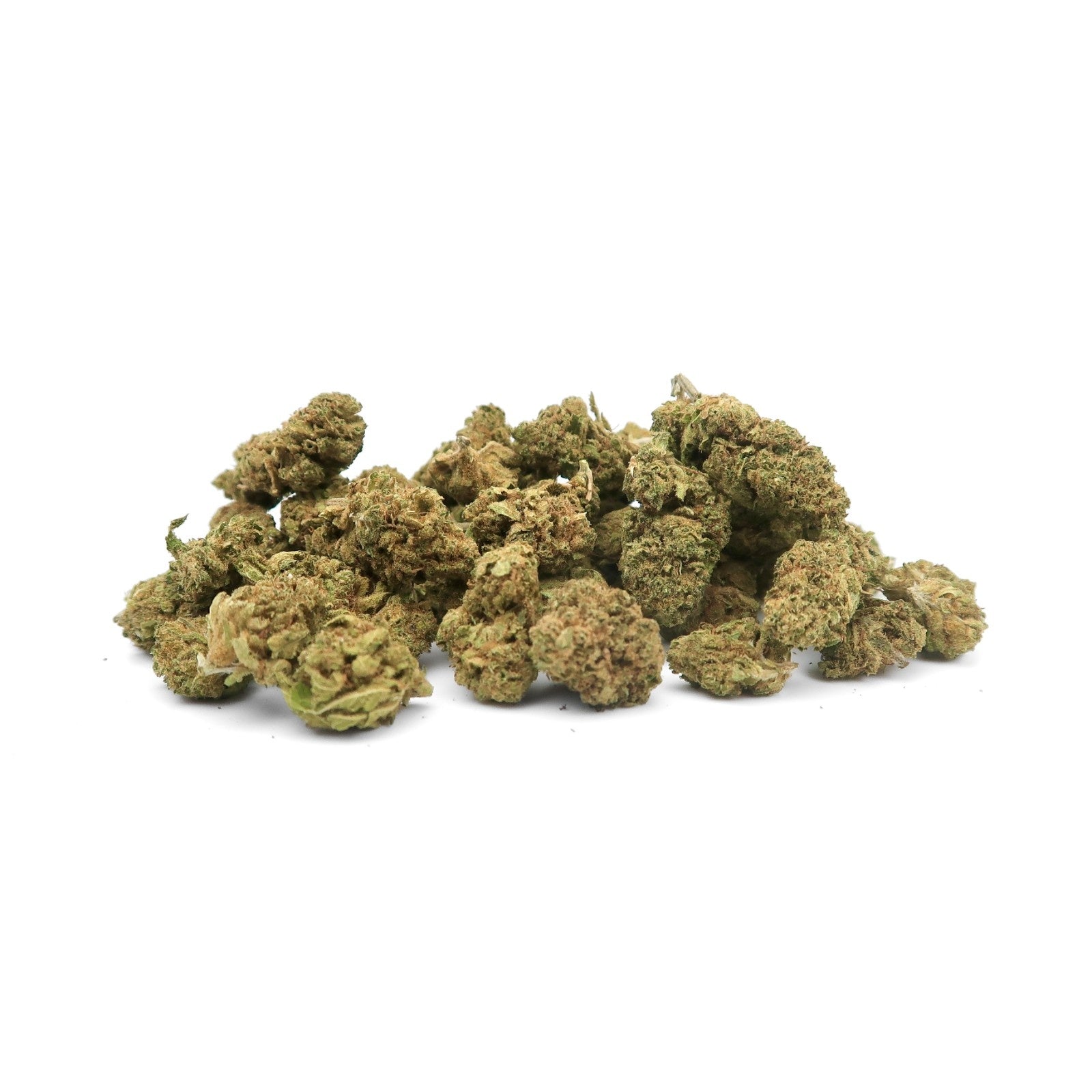 New Orange Small Bud