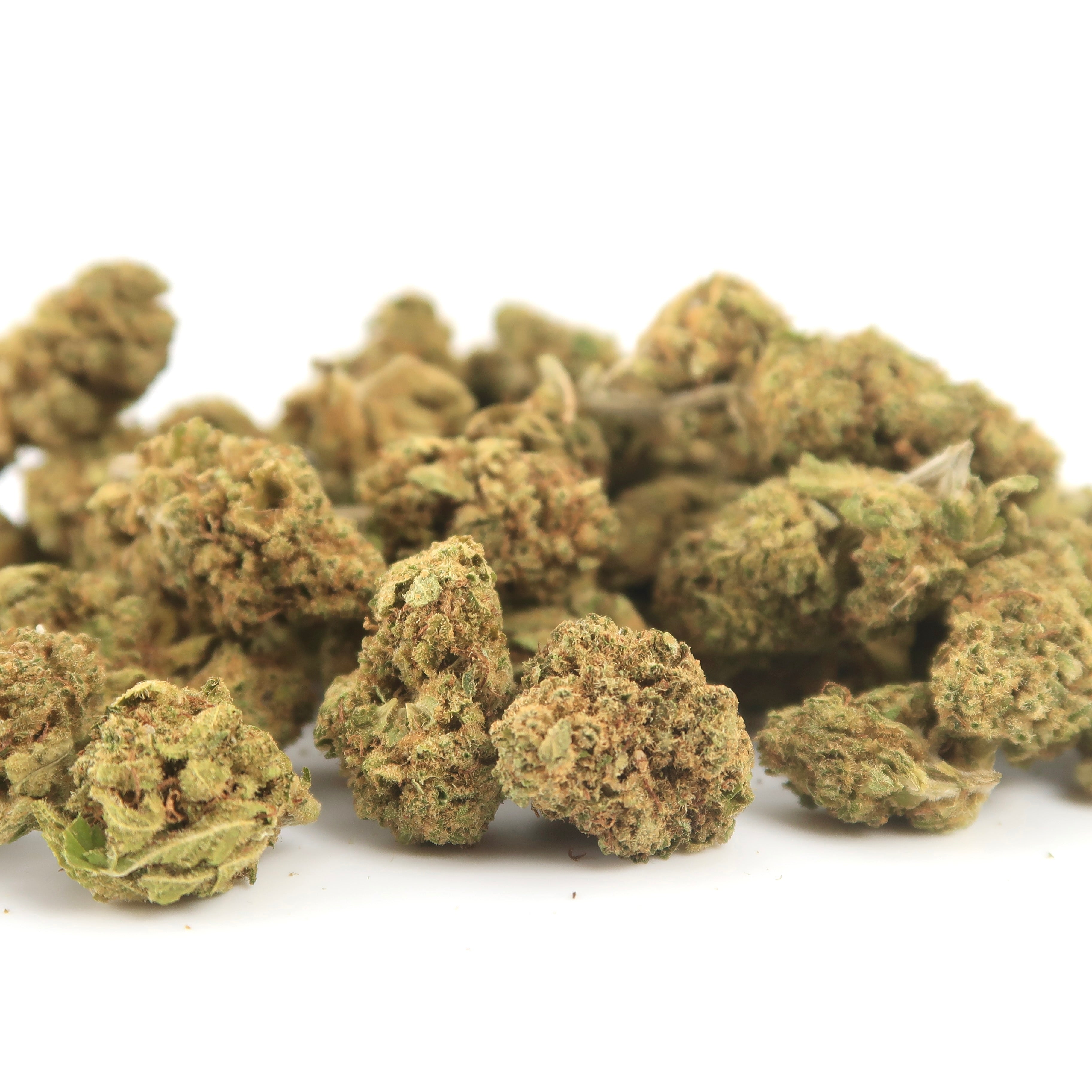 New Orange Small Bud