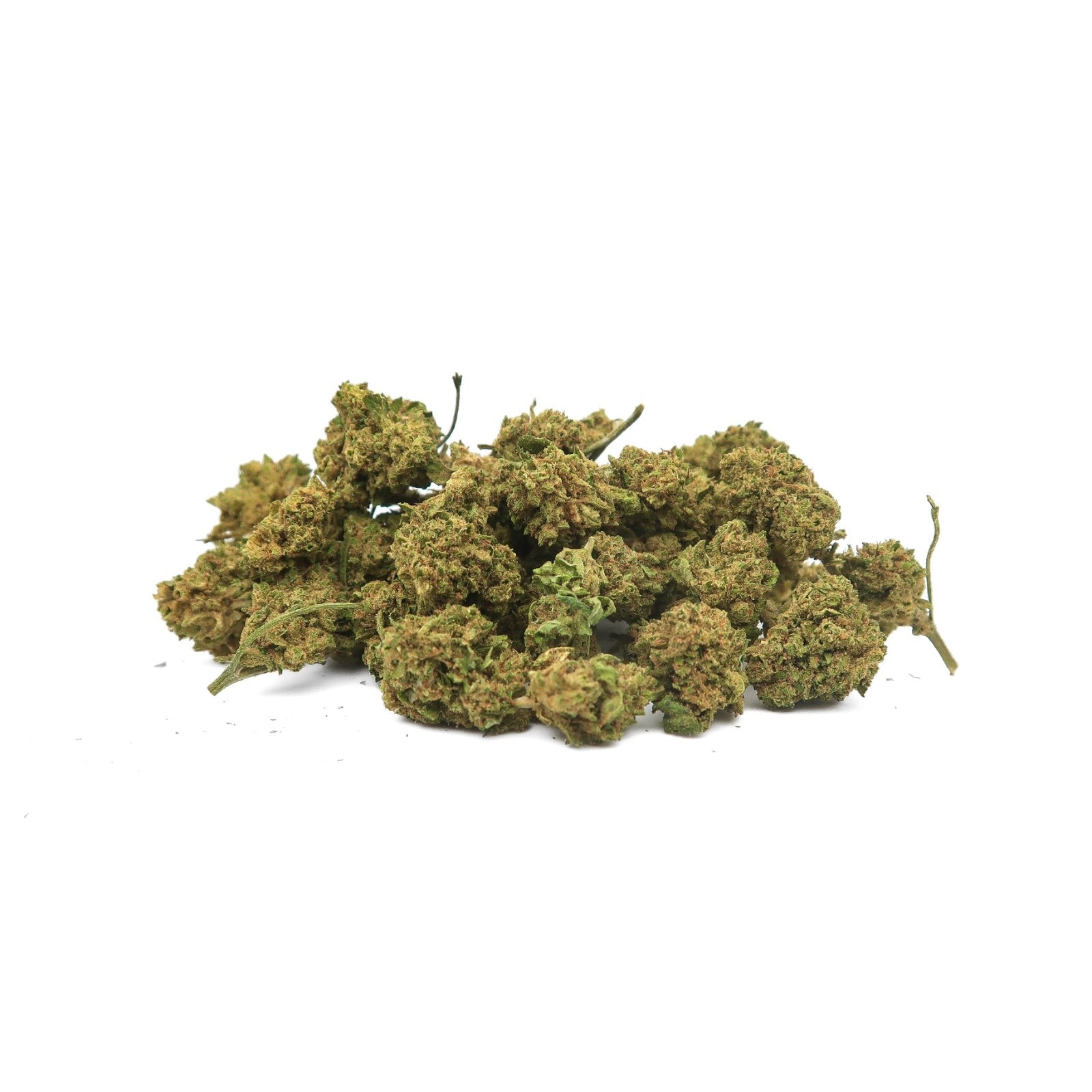 Maradona Small Bud