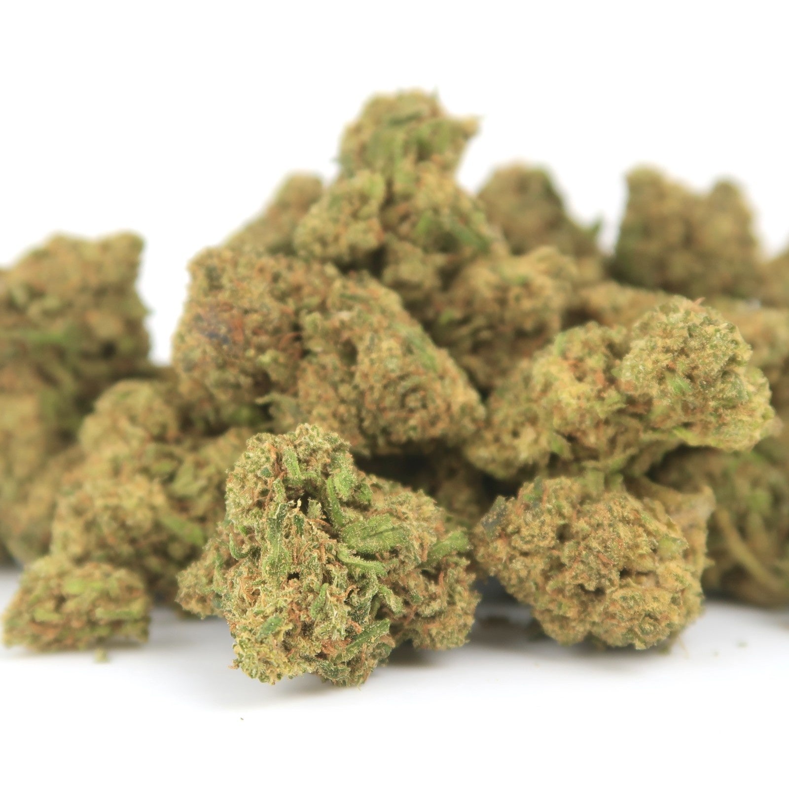 Fedtonic Small bud
