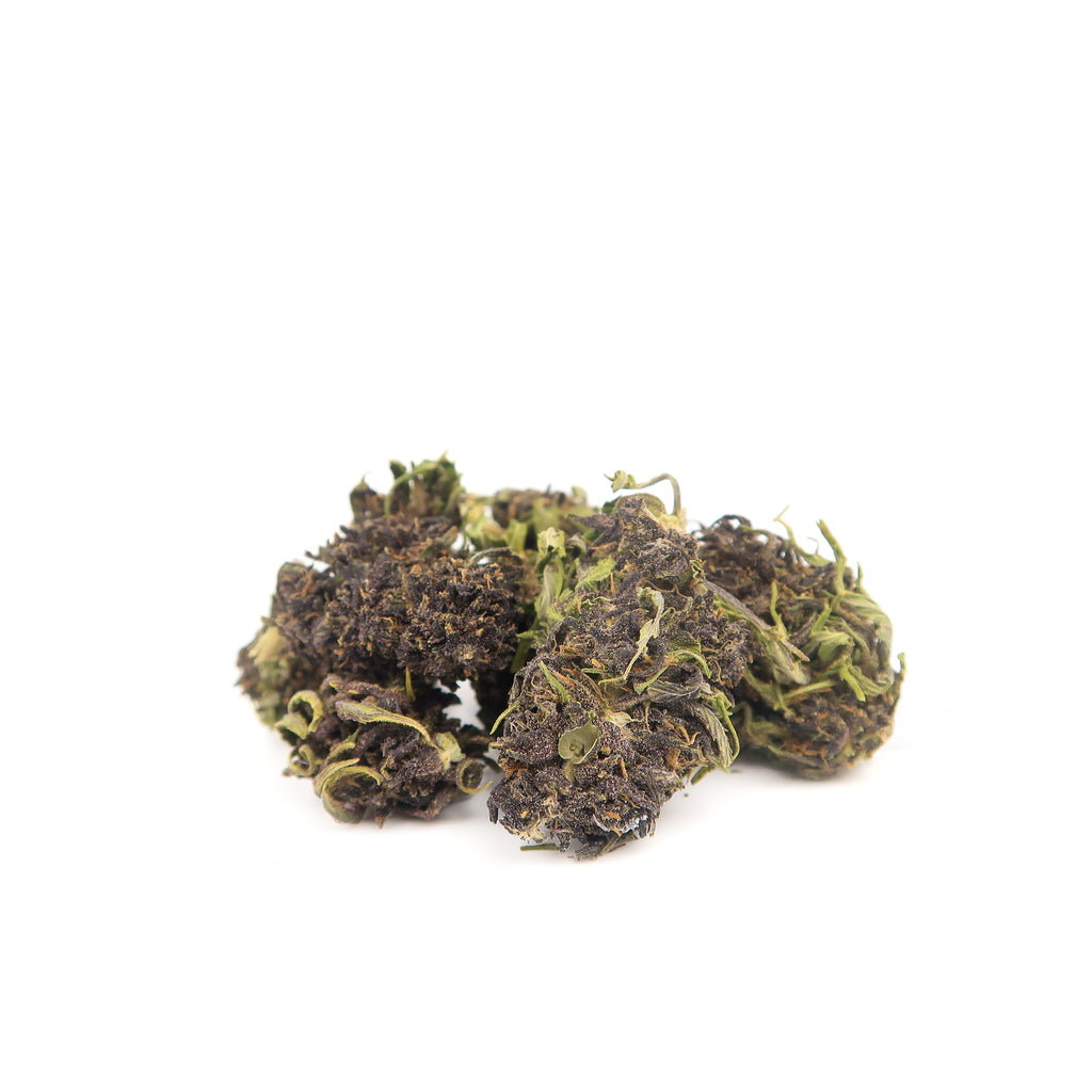 Purple Siesta BIO