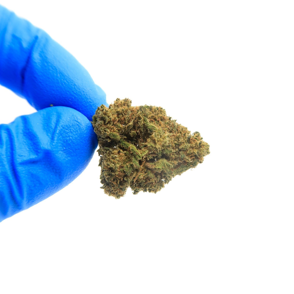 Fedtonic Small bud