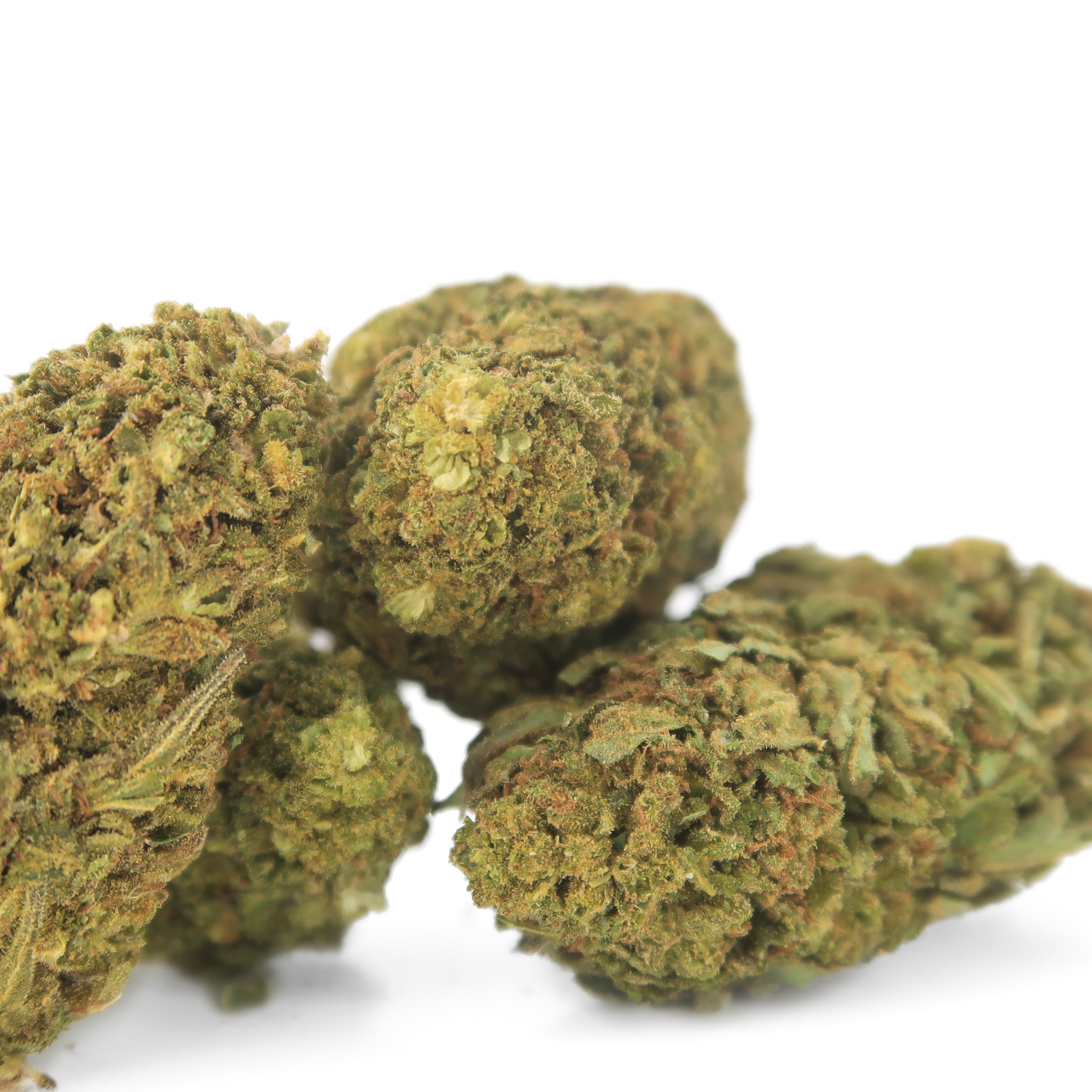 Sour Lifter