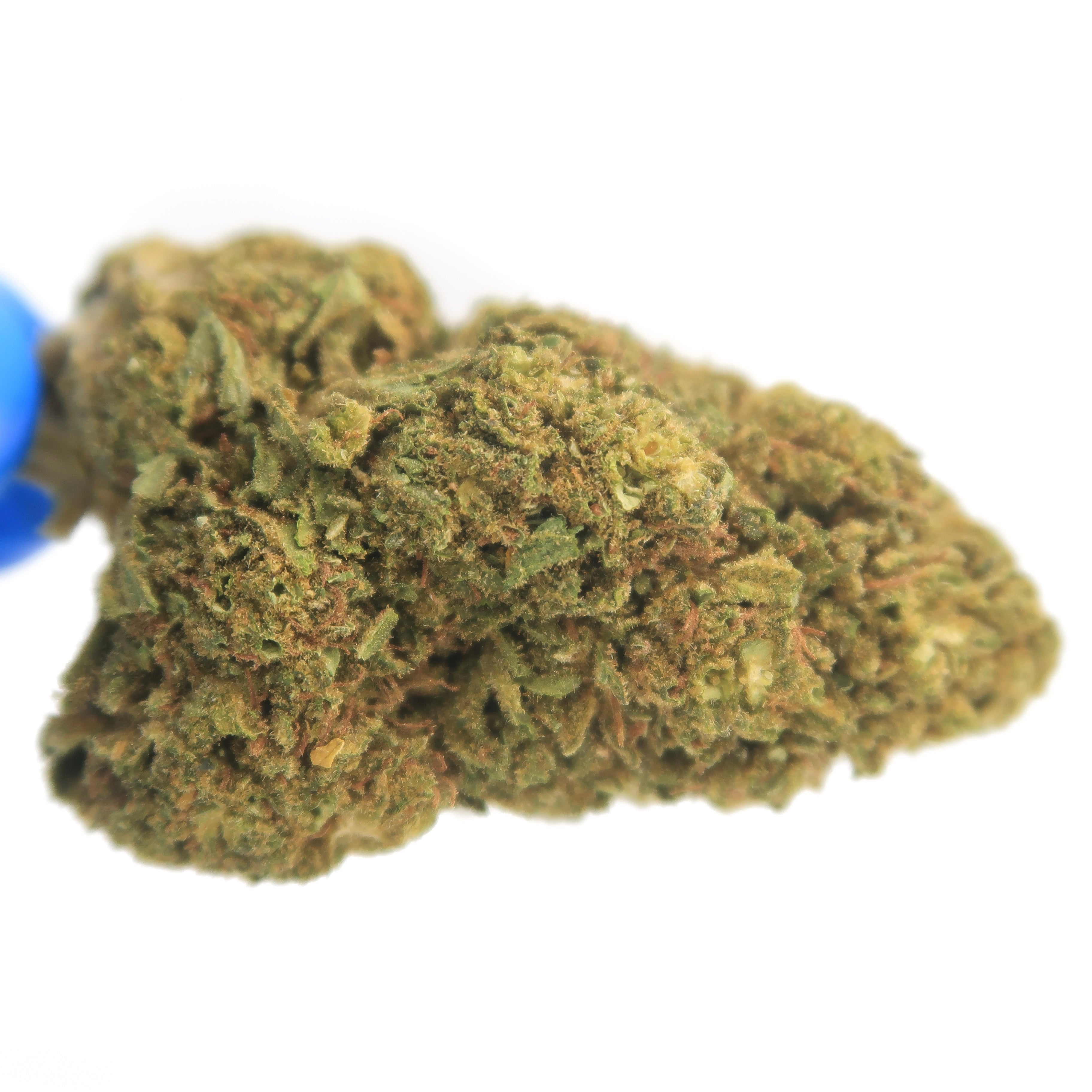 Sour Lifter