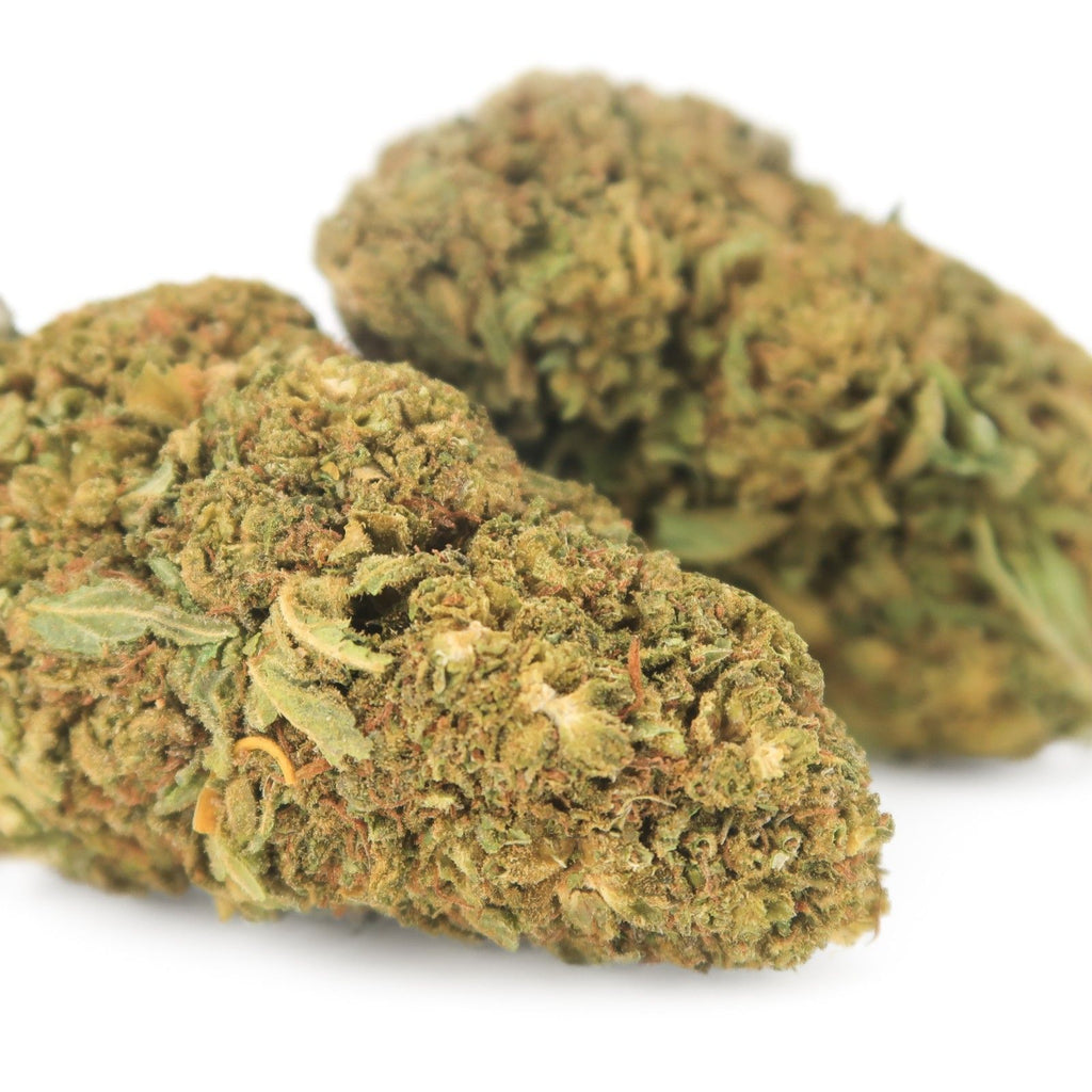 Apple Fritter
