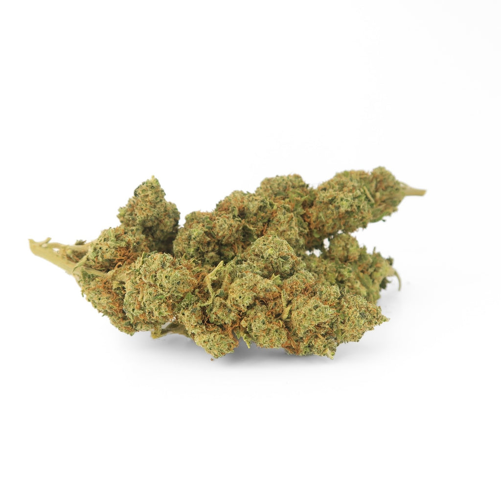 Bubble Gum