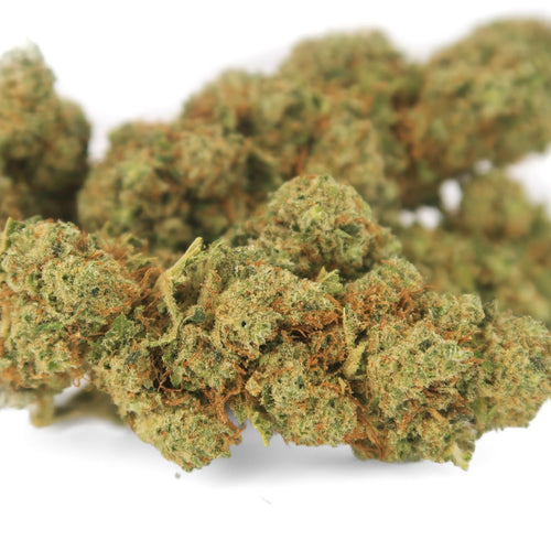 Bubble Gum
