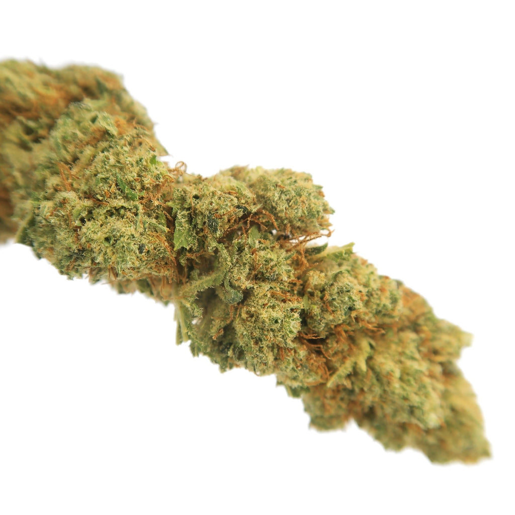 Bubble Gum