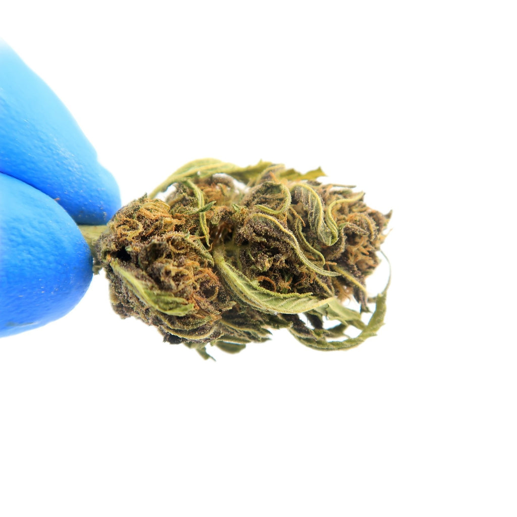 Sour Diesel