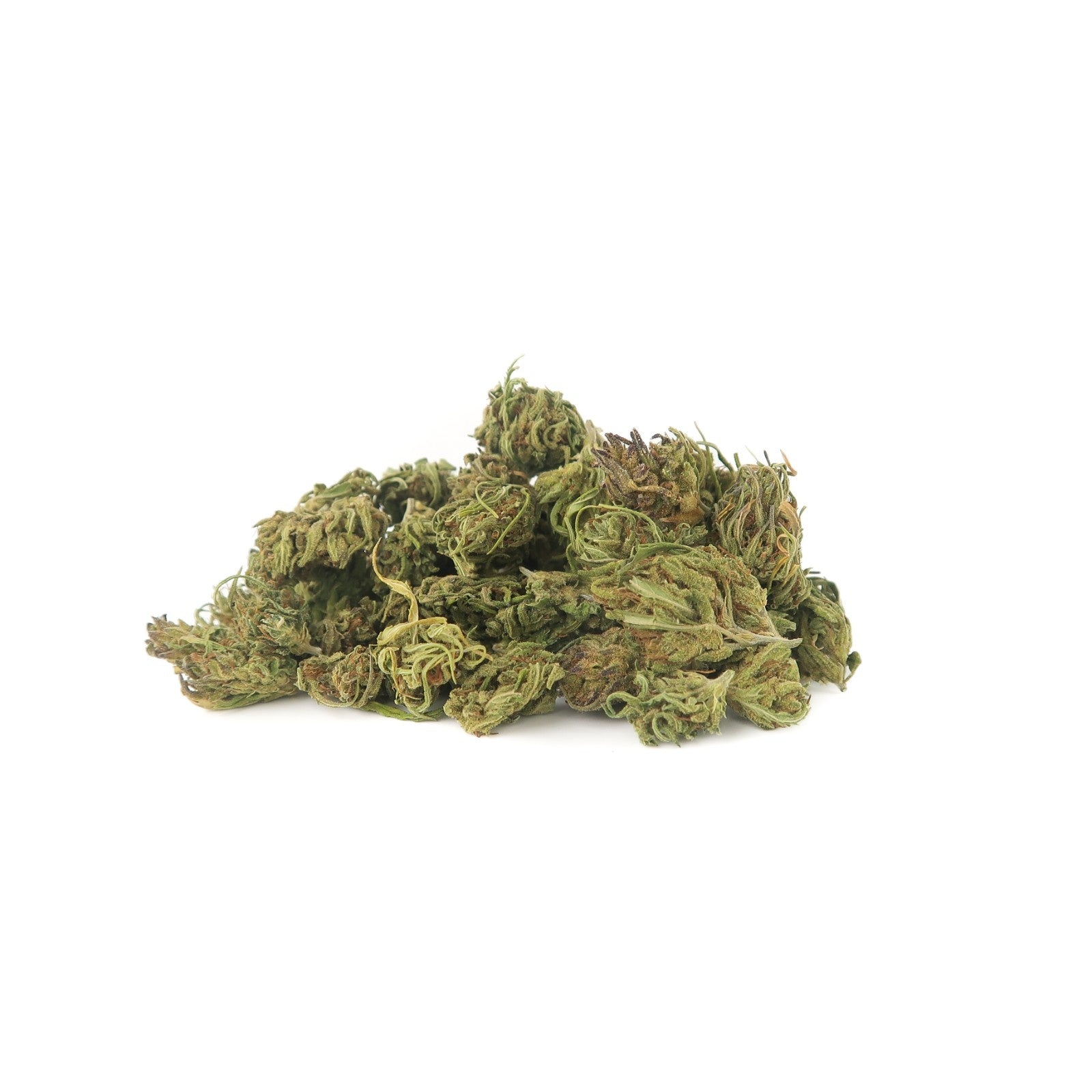 Mona Lisa Small Bud