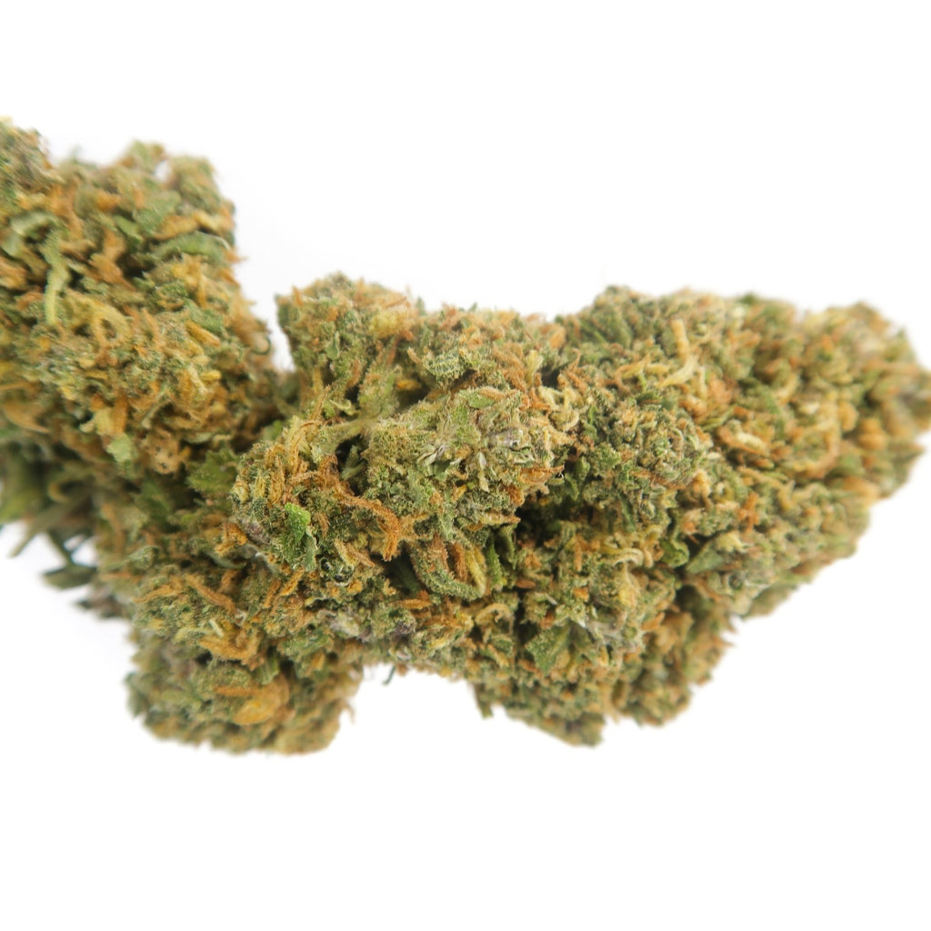 Tropicana