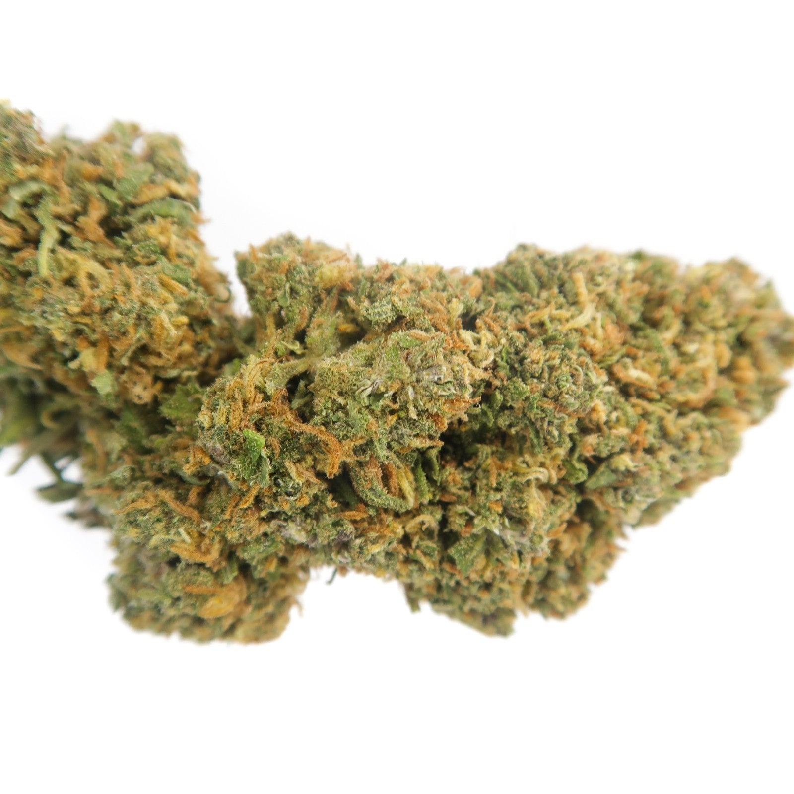 Tropicana