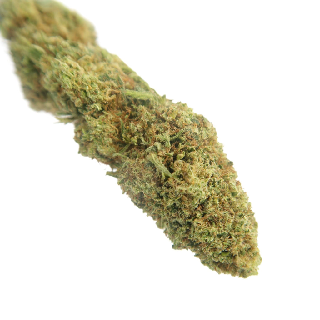 Bullet Kush