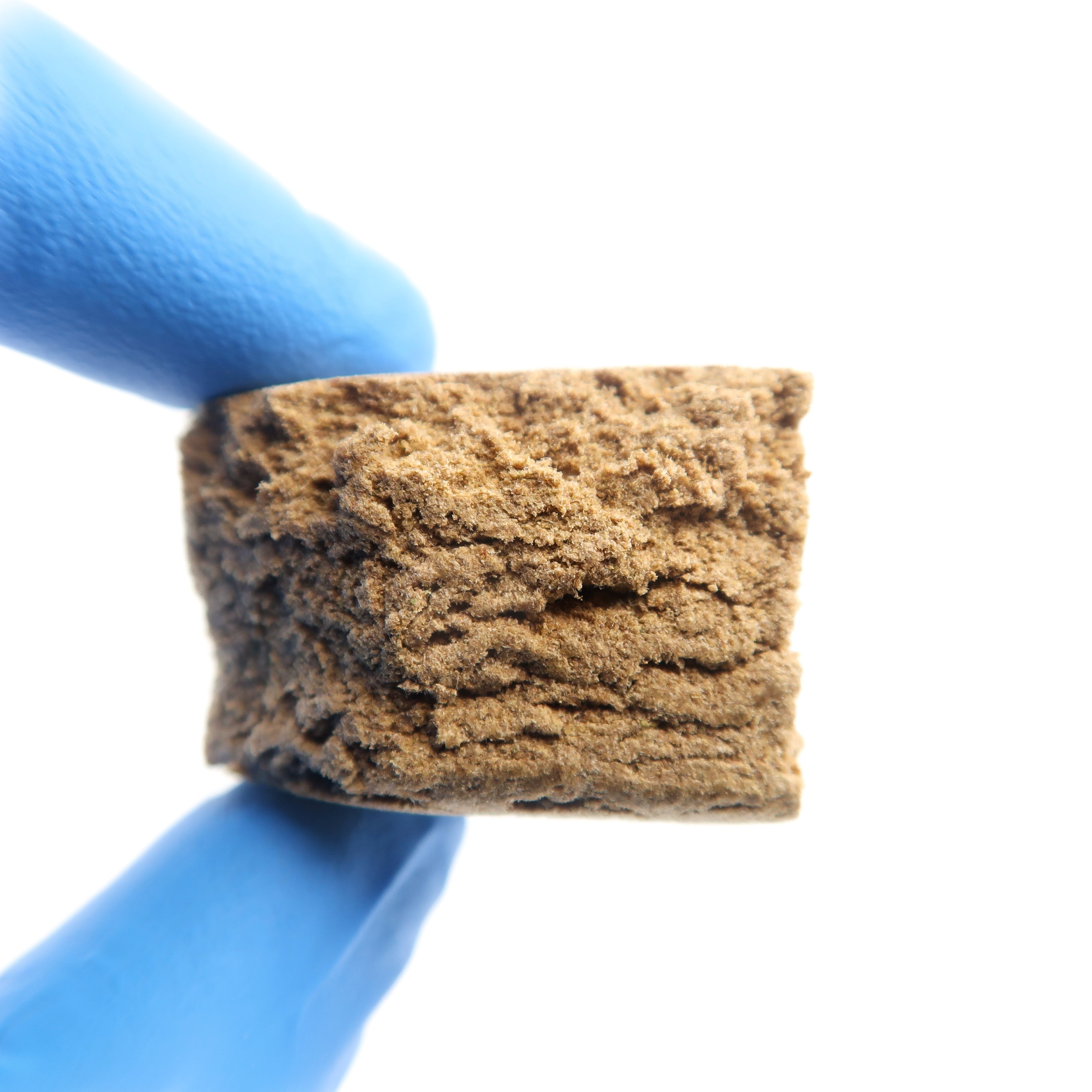 Gold Press Critical Haze