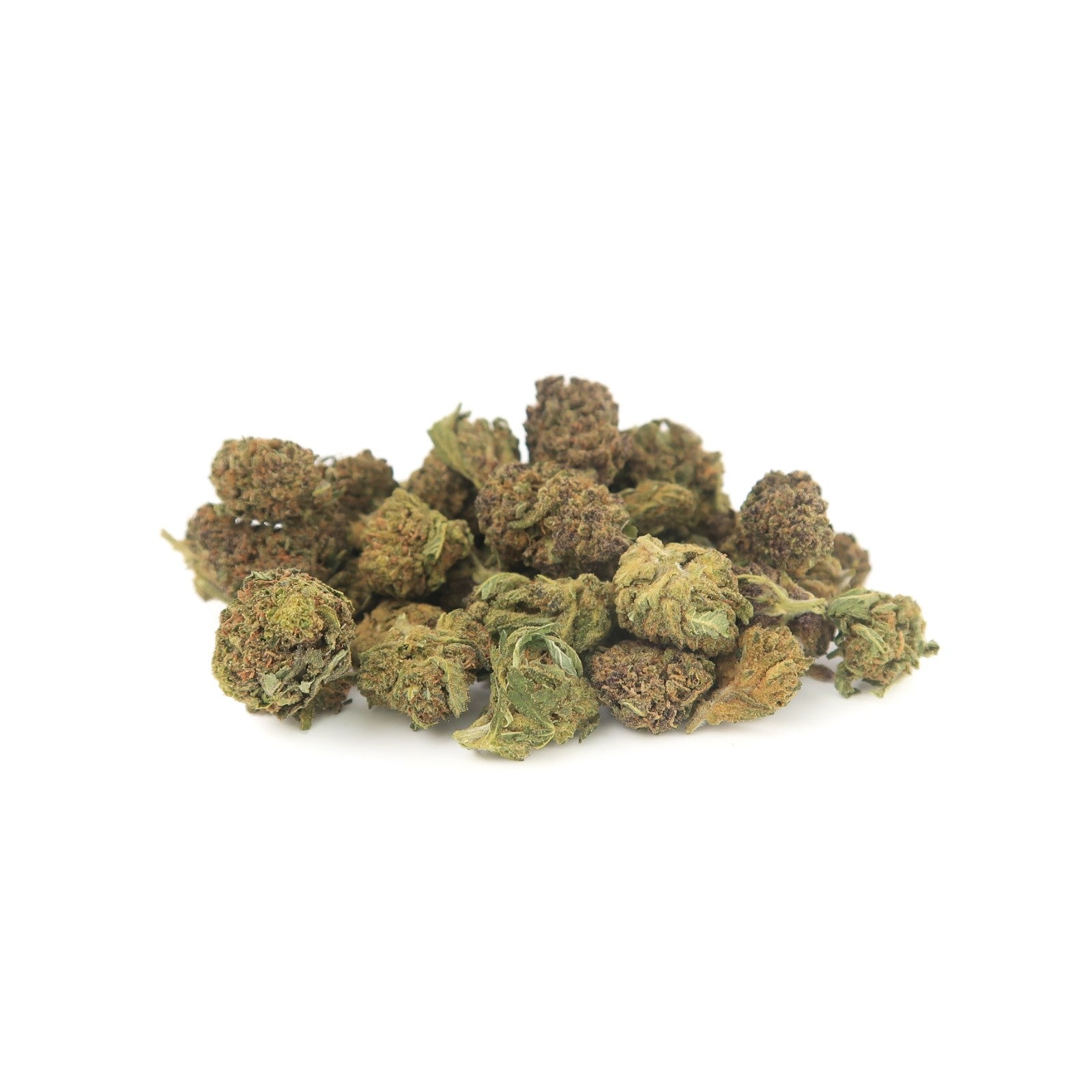 Habibi Small Bud