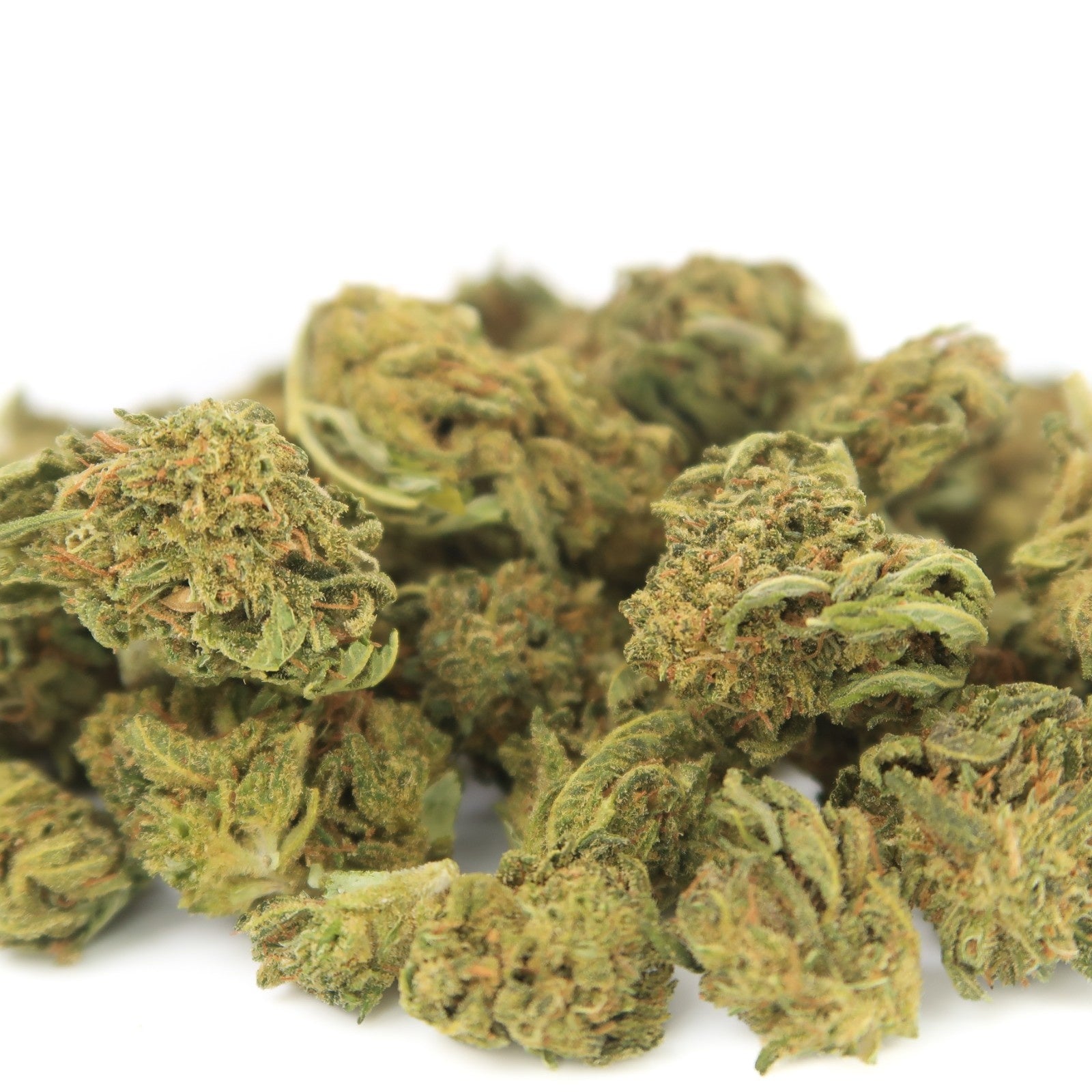 Sour Lifter Small Bud