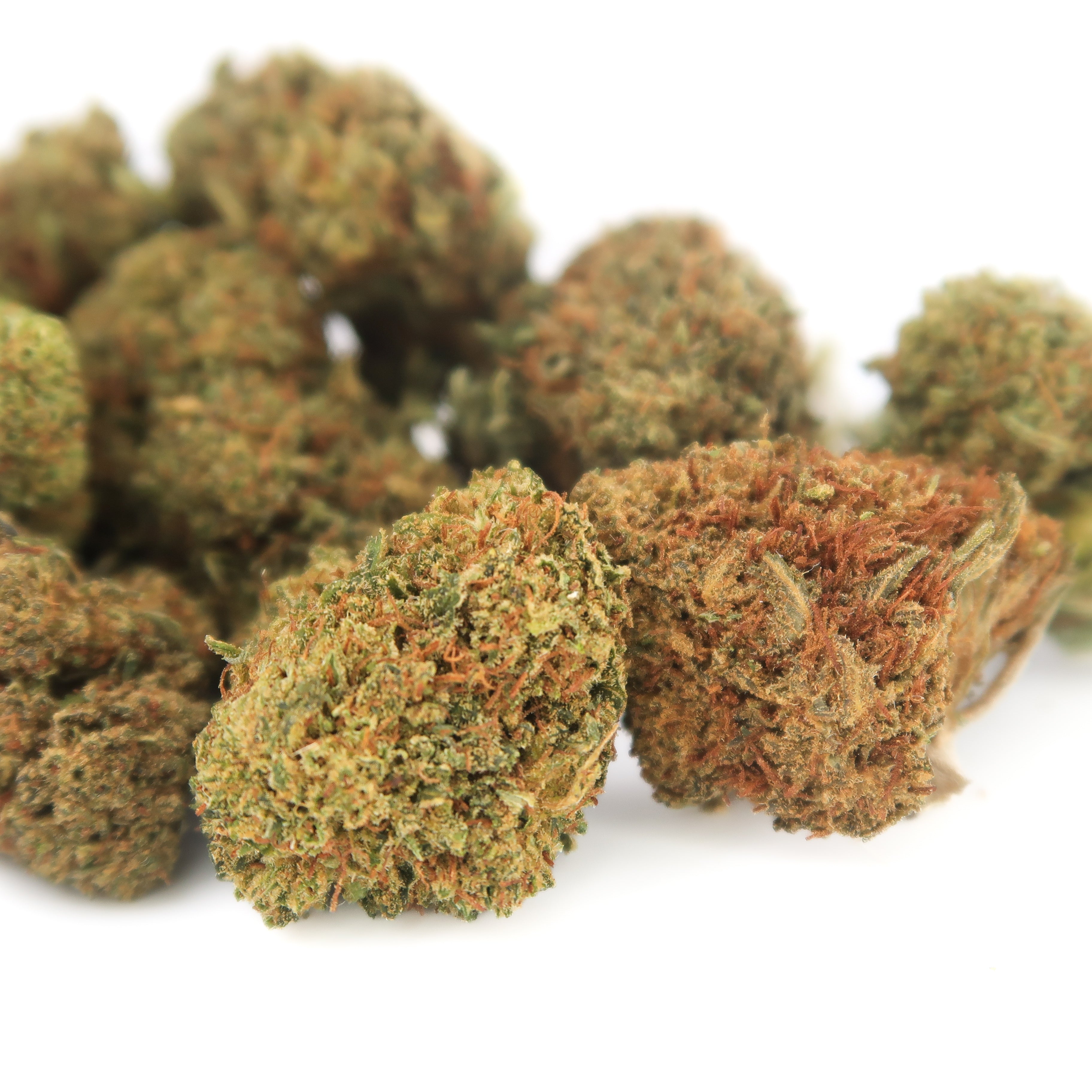 Lemon Octane Small Bud