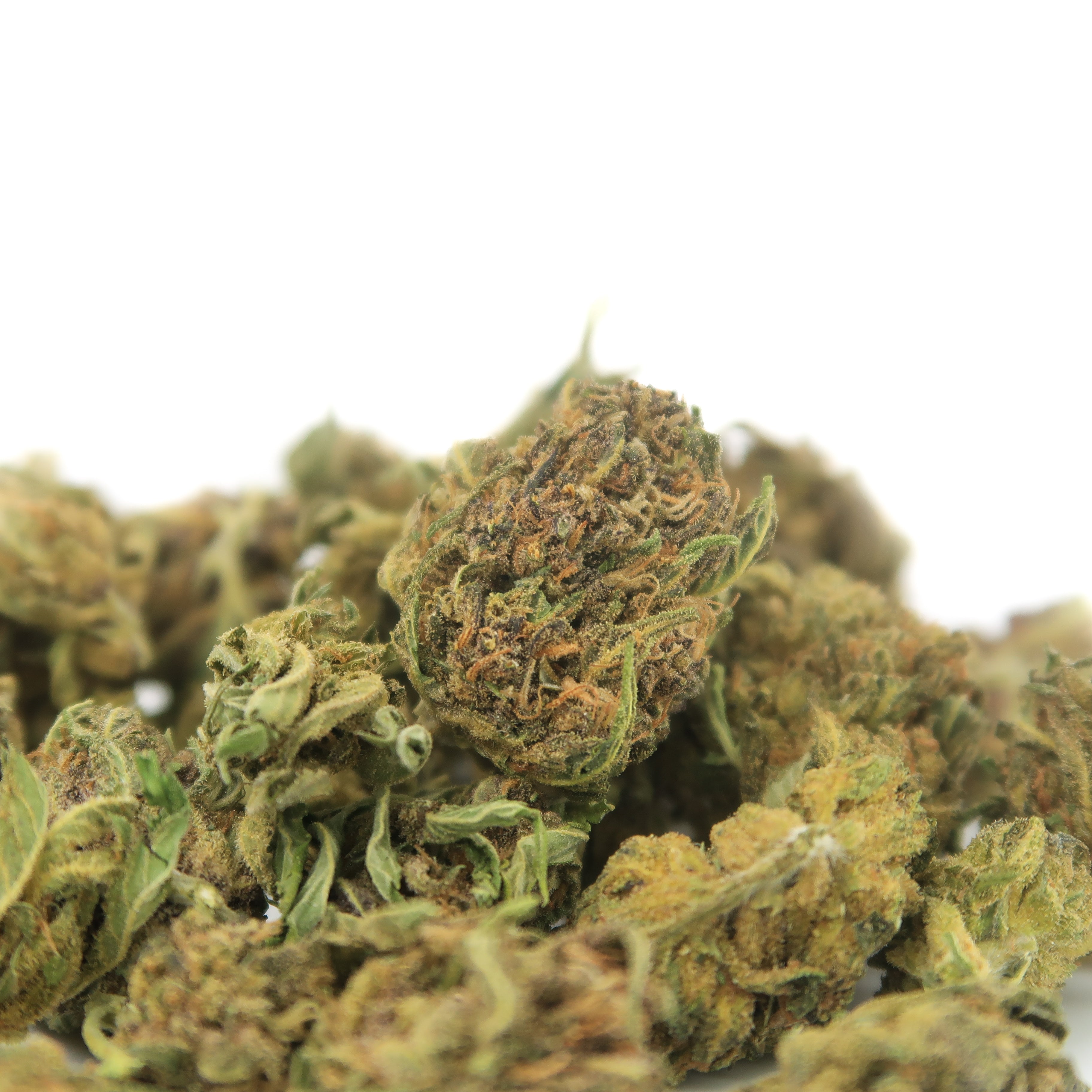 Sour Diesel Small Bud