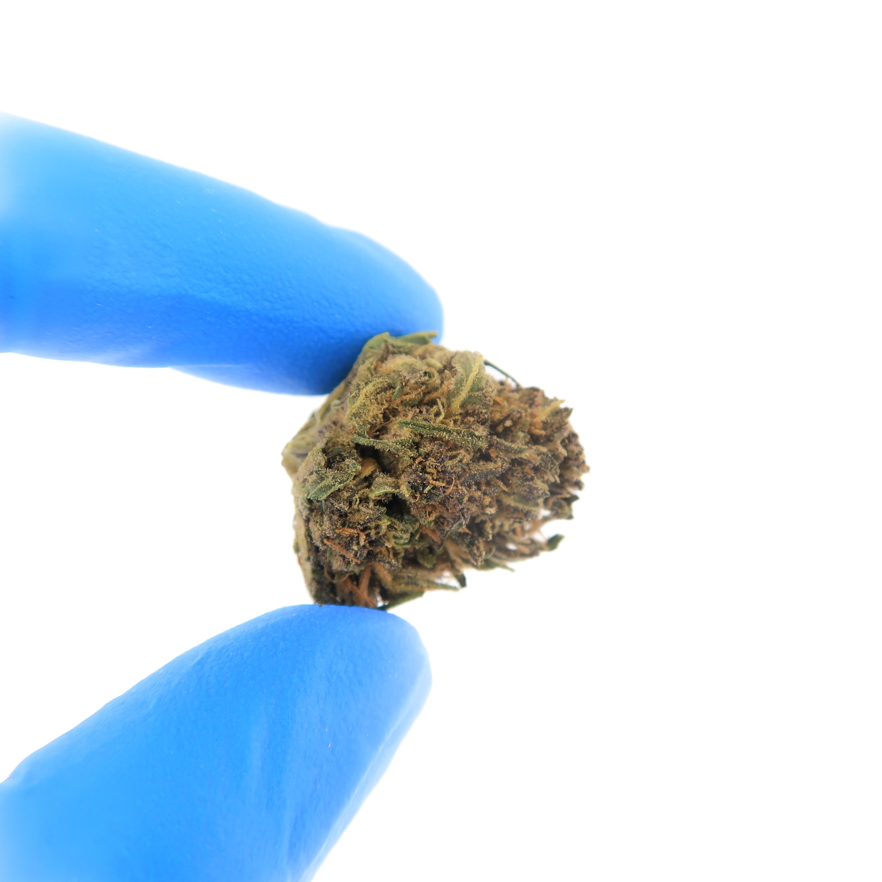 Sour Diesel Small Bud