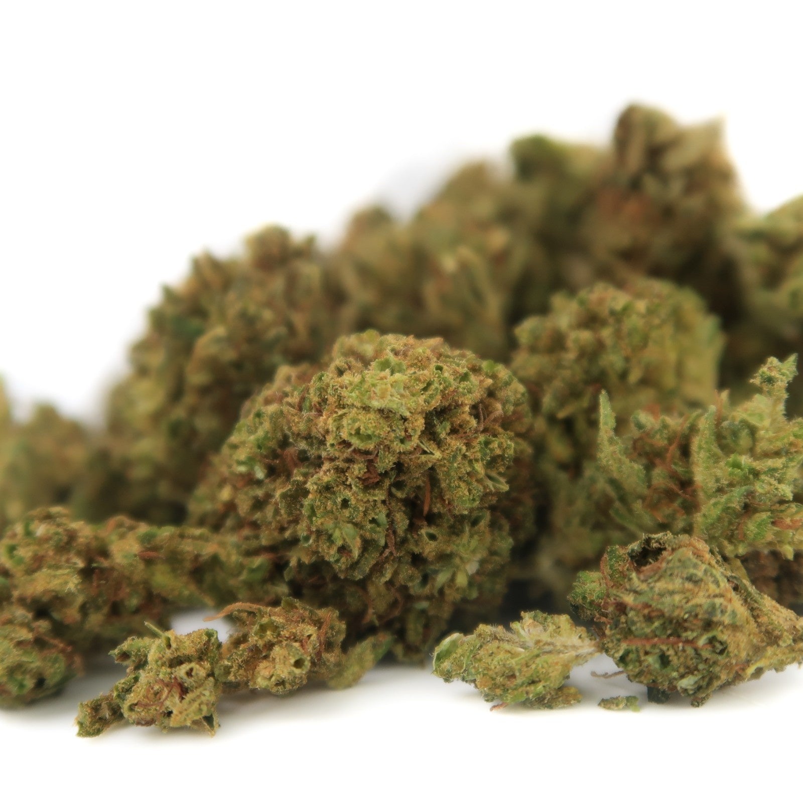 Chemberry Small Bud