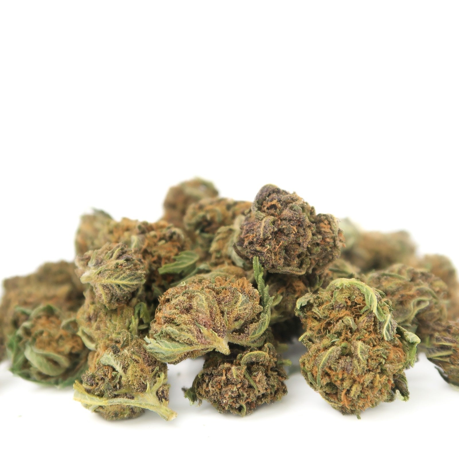 Mob Wife Small Bud