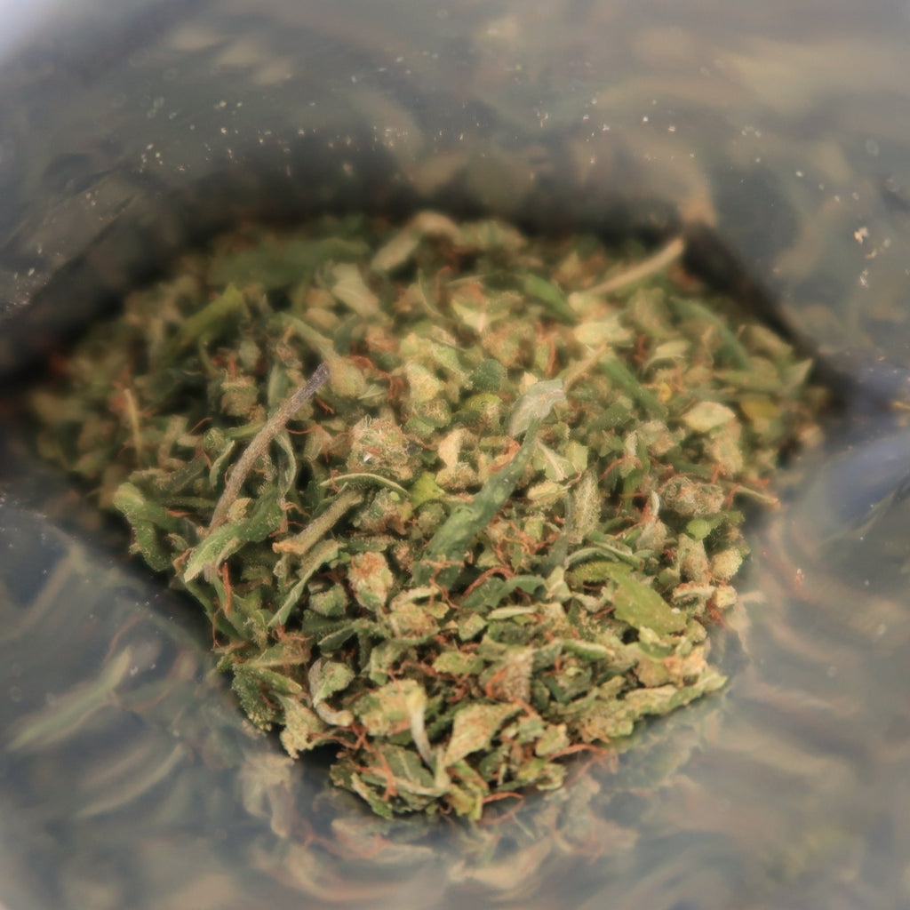 Trim Cali PP 12