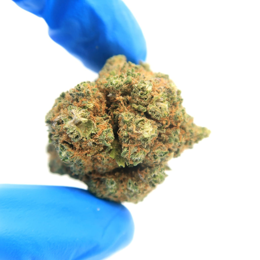 Green Gum Cali