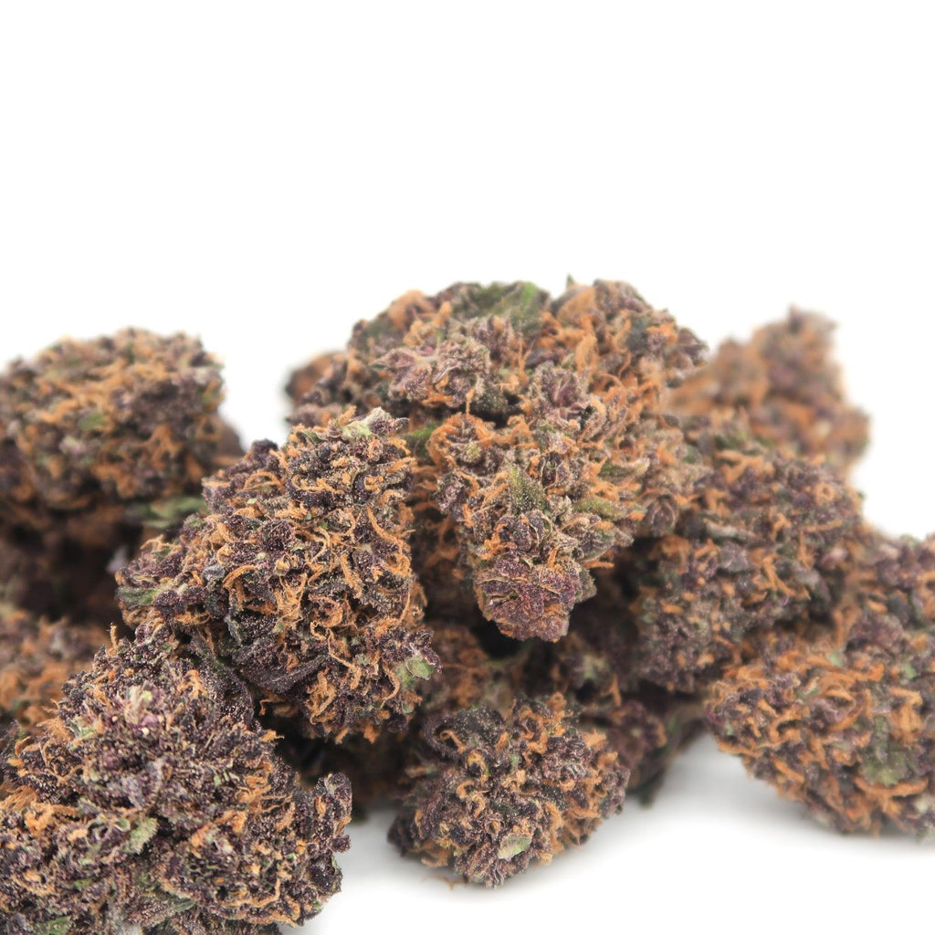 Purple Kush