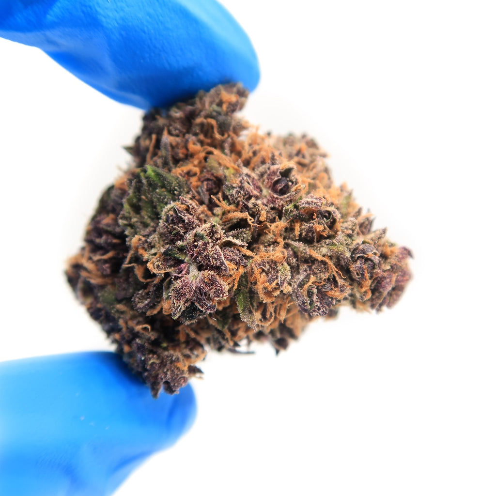 Purple Kush