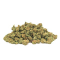 Green Gum Cali Small Bud