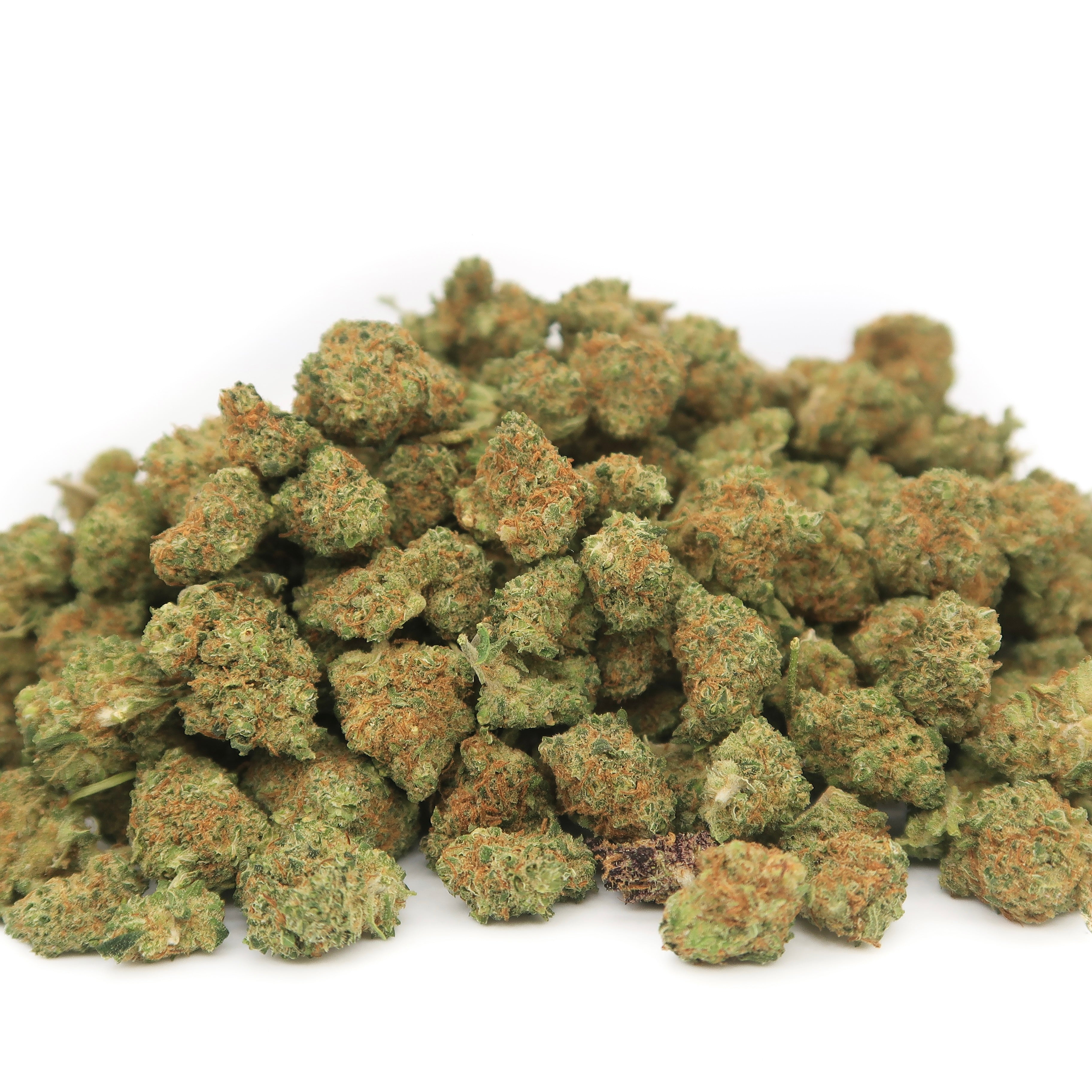 Green Gum Cali Small Bud