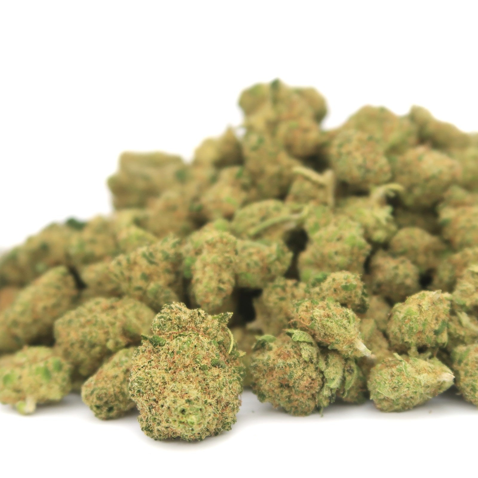 L.A Confidential Small Bud