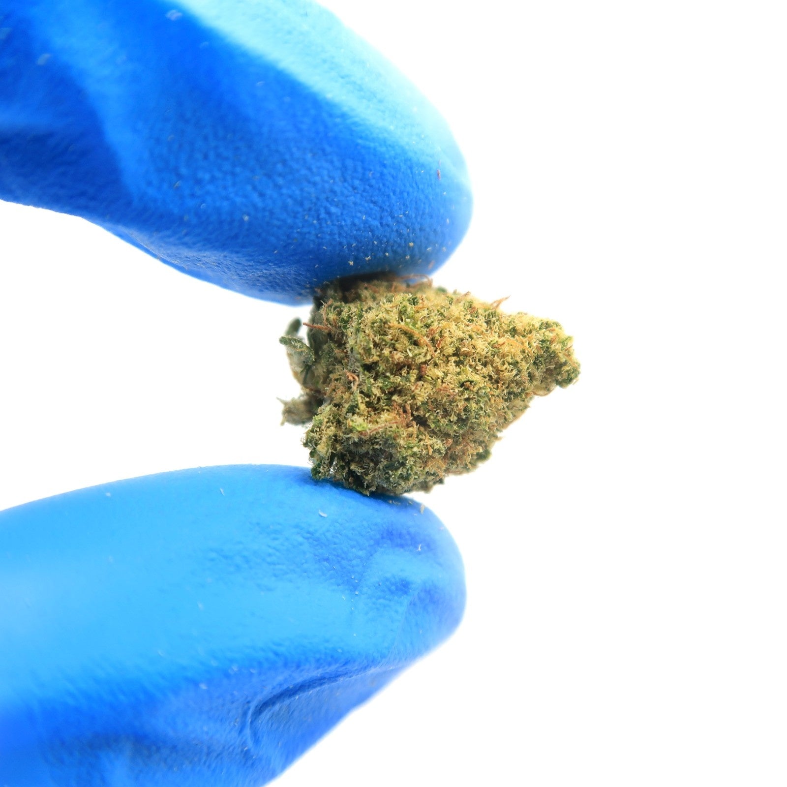 L.A Confidential Small Bud